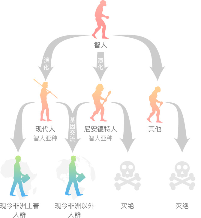 尼安德特人比例